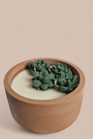 Aroomiküünal Sukulent