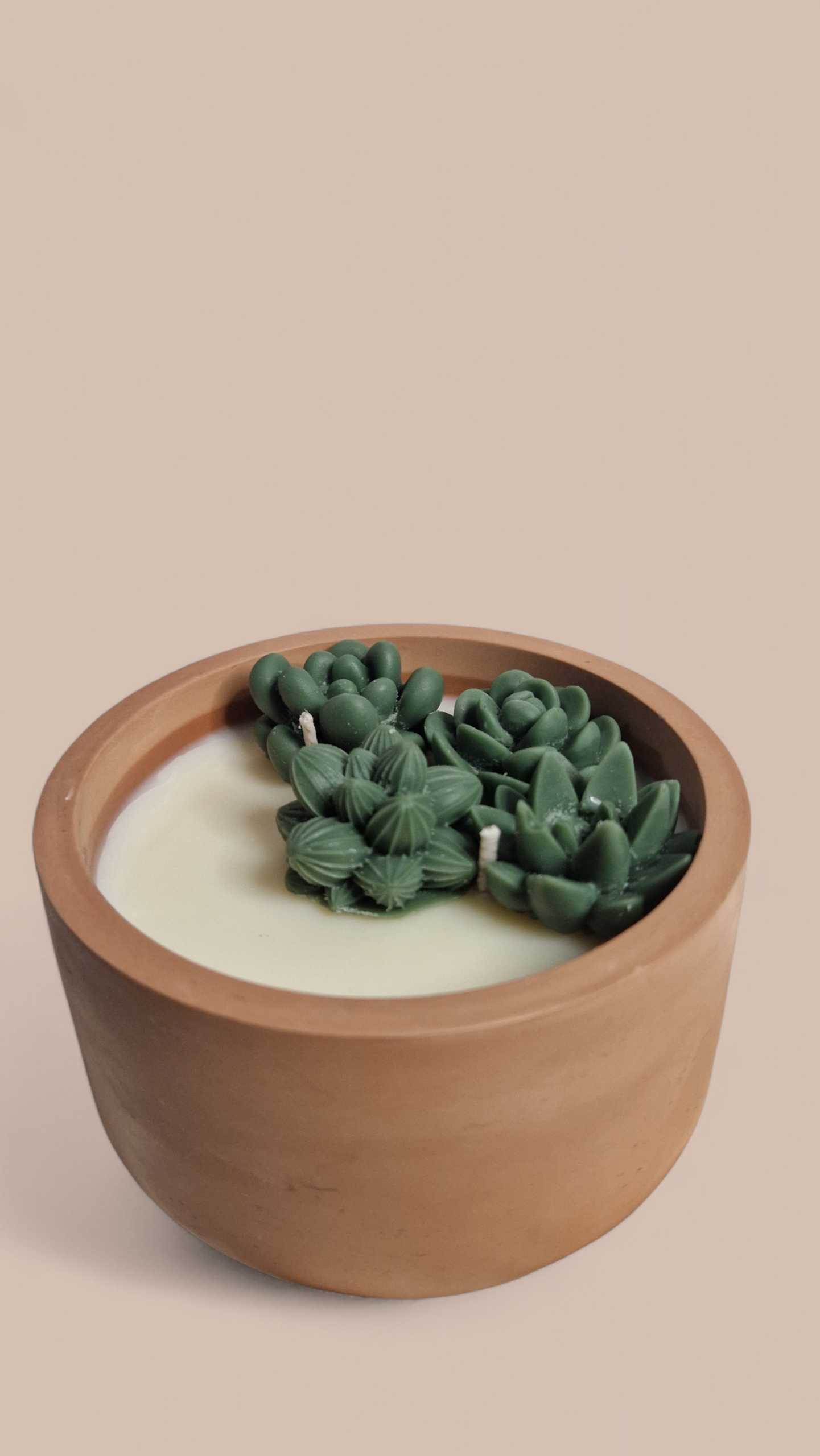 Aroomiküünal Sukulent