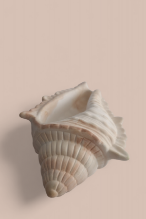 Käsitööna valminud haljdatolmuga dekoratiivne merekarp Sand & Shine, liivakarva ehetehoidja.