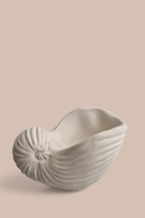 Dekoratiivalus Shell